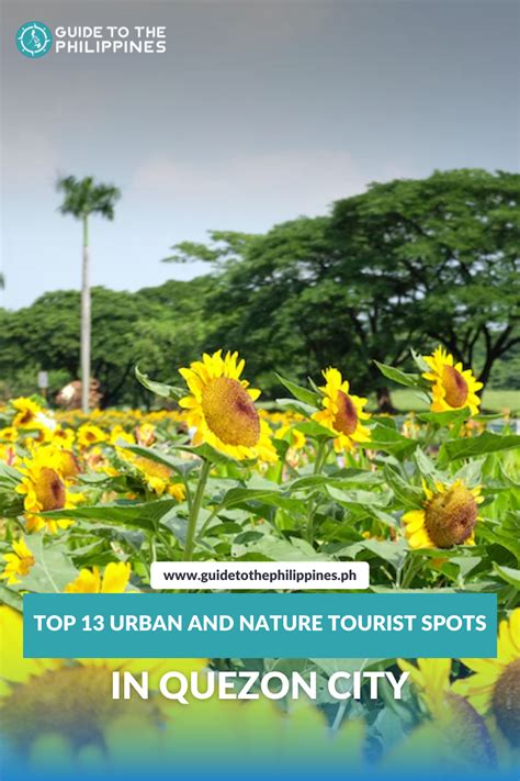 fun activities in quezon city|Top 13 Urban and Nature Tourist Spots in Quezon City.